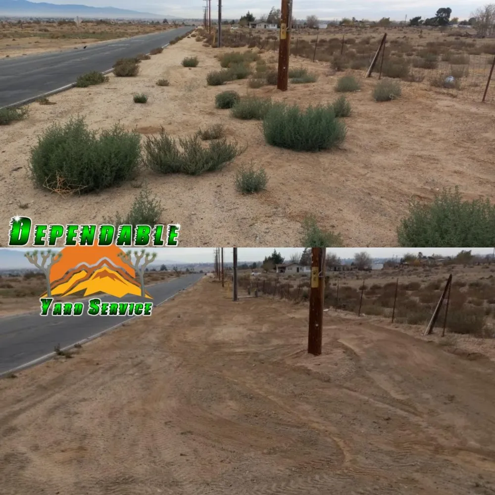 Reliable lawn care service experts serving Hesperia, CA - Dependable Yard Service