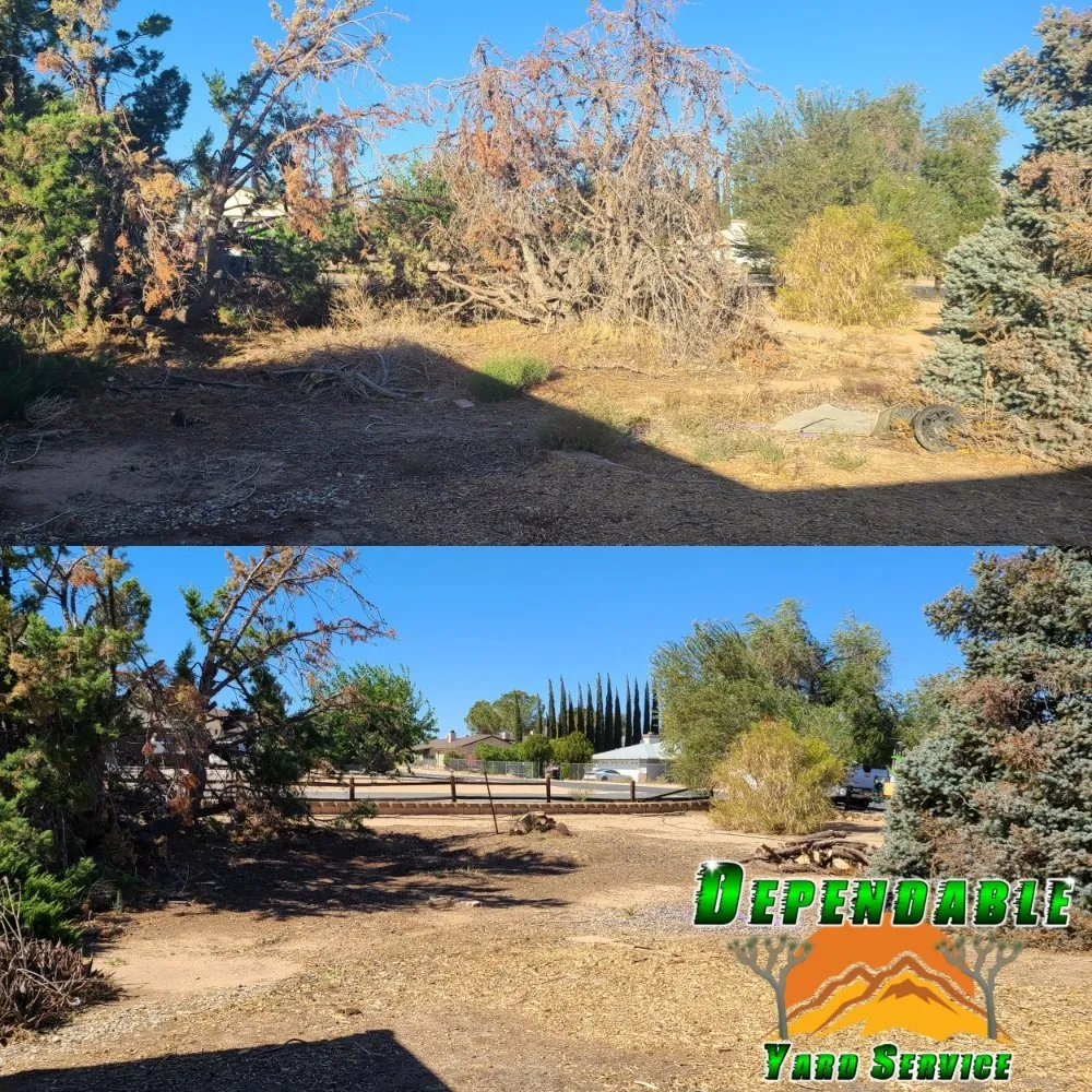 Expert landscape design for year-round maintenance in Hesperia, CA by Dependable Yard Service