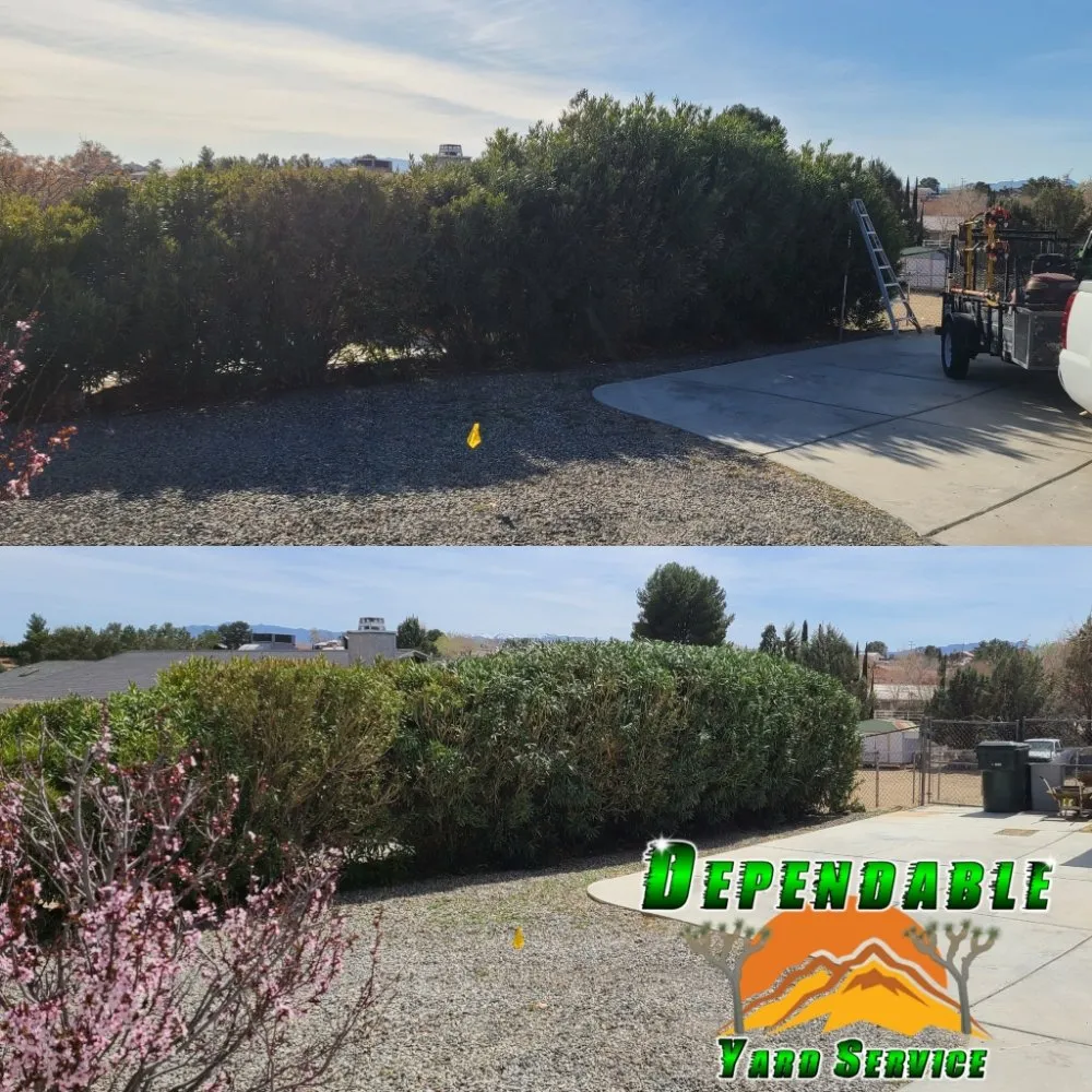 Top-rated landscape design in Hesperia, CA by Dependable Yard Service