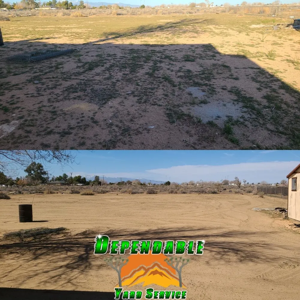 Expert landscape installation in Hesperia, CA by Dependable Yard Service
