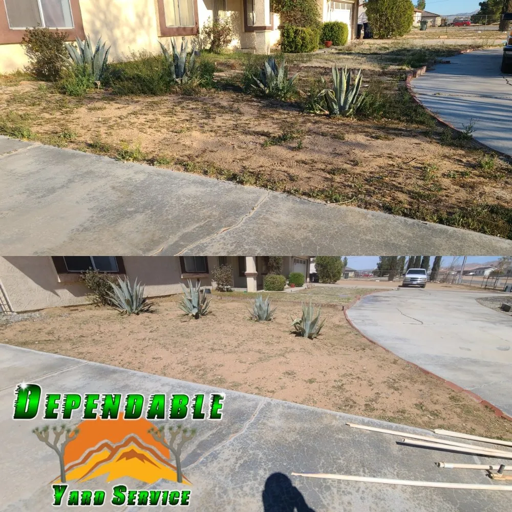 Affordable landscaping services experts serving Hesperia, CA - Dependable Yard Service