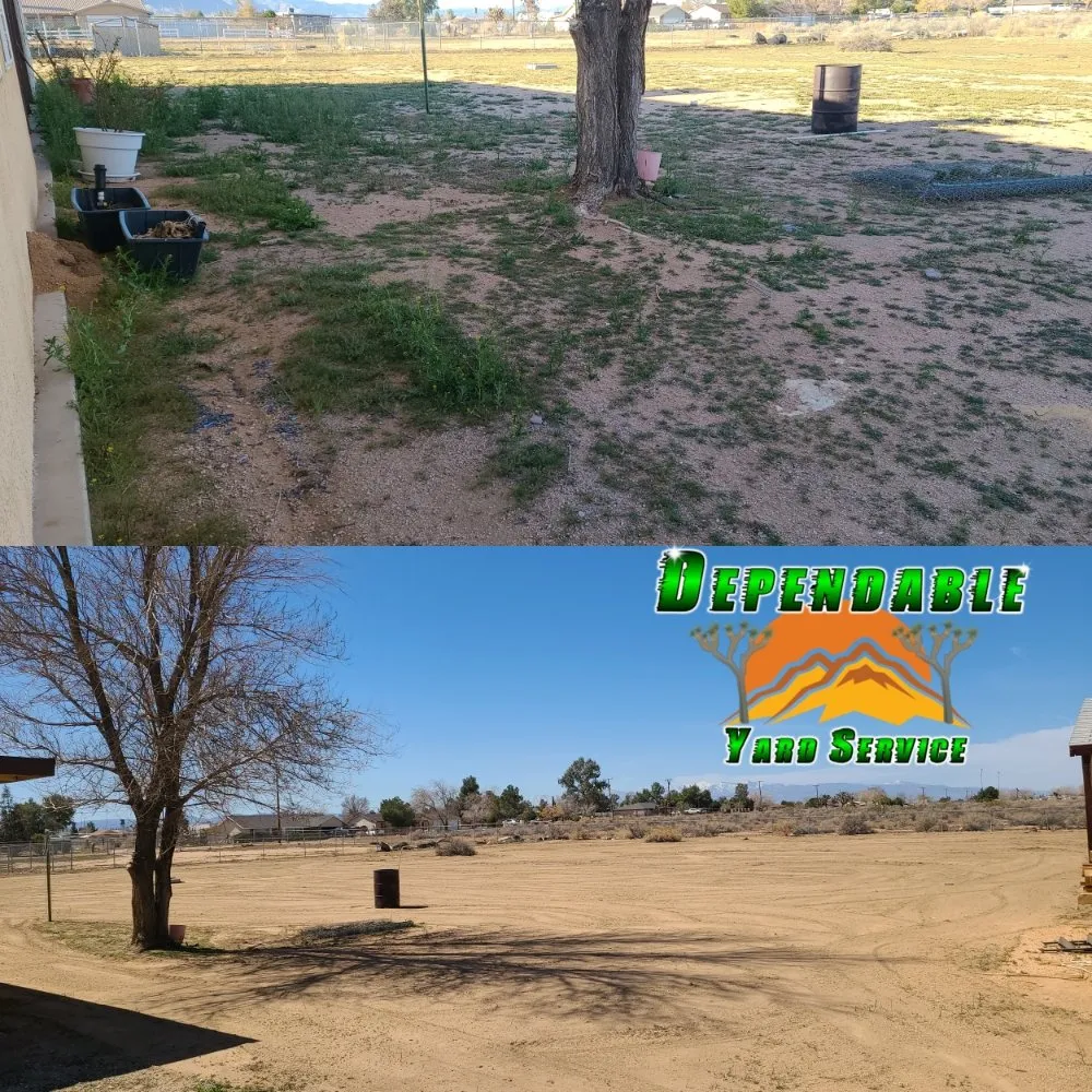 Local yard maintenance experts serving Hesperia, CA - Dependable Yard Service