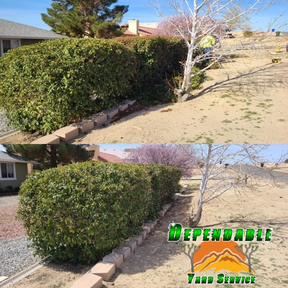 Professional landscaping services in Hesperia, CA - Dependable Yard Service