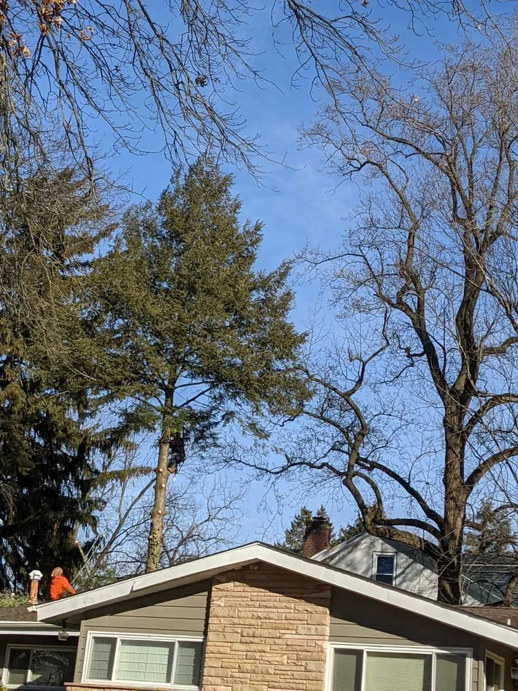 Custom landscape design for homes in Pennsauken, NJ by Deputy Tree & Property Services