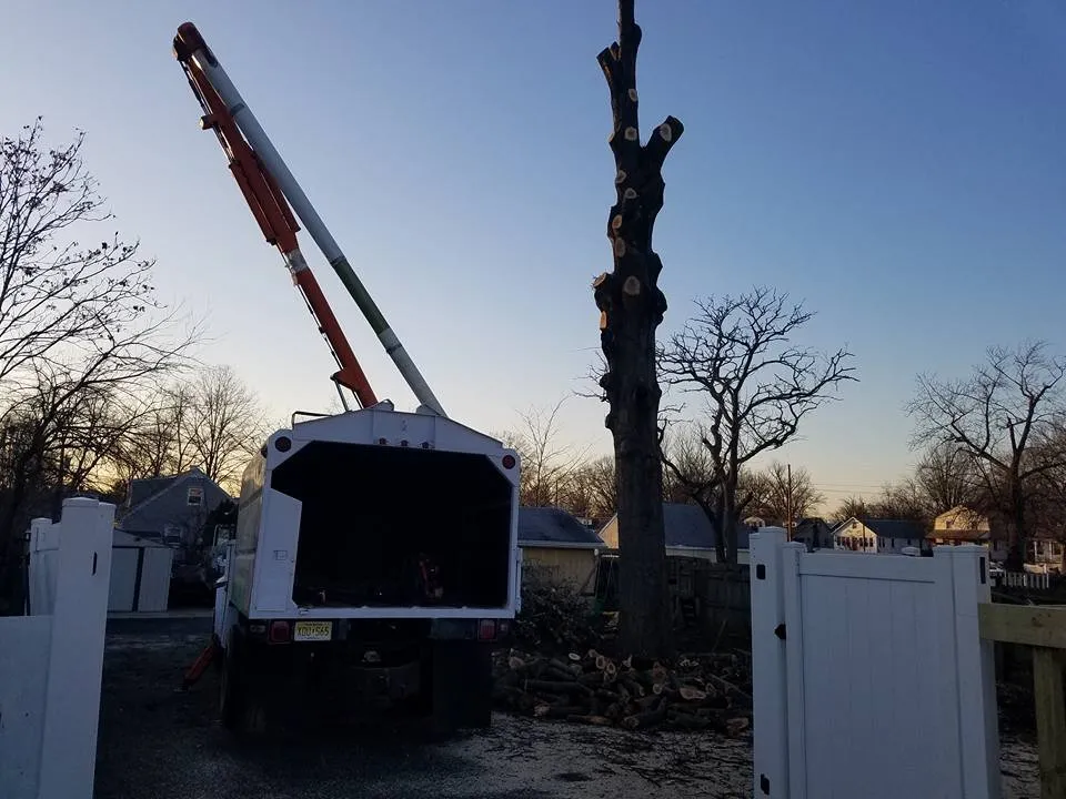 Reliable yard maintenance in Pennsauken, NJ by Deputy Tree & Property Services