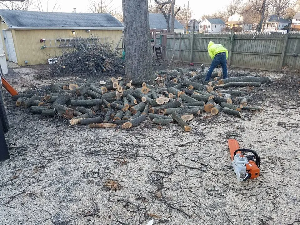 Trusted landscape installation near you in Pennsauken, NJ by Deputy Tree & Property Services