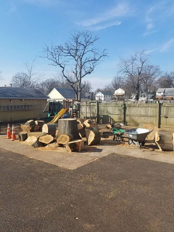 Local lawn mowing service in Pennsauken, NJ - Deputy Tree & Property Services