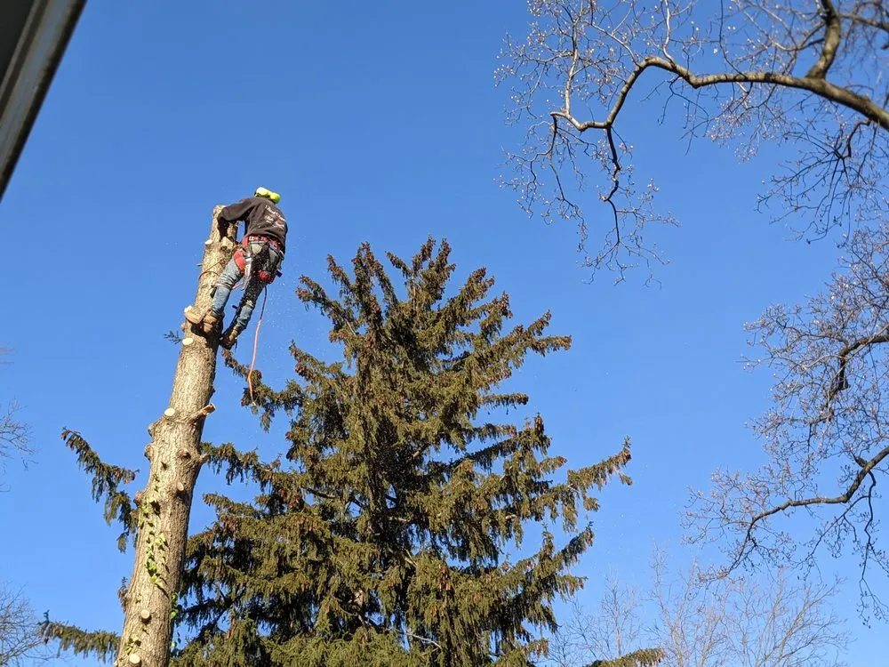 Custom garden landscaping in Pennsauken, NJ by Deputy Tree & Property Services