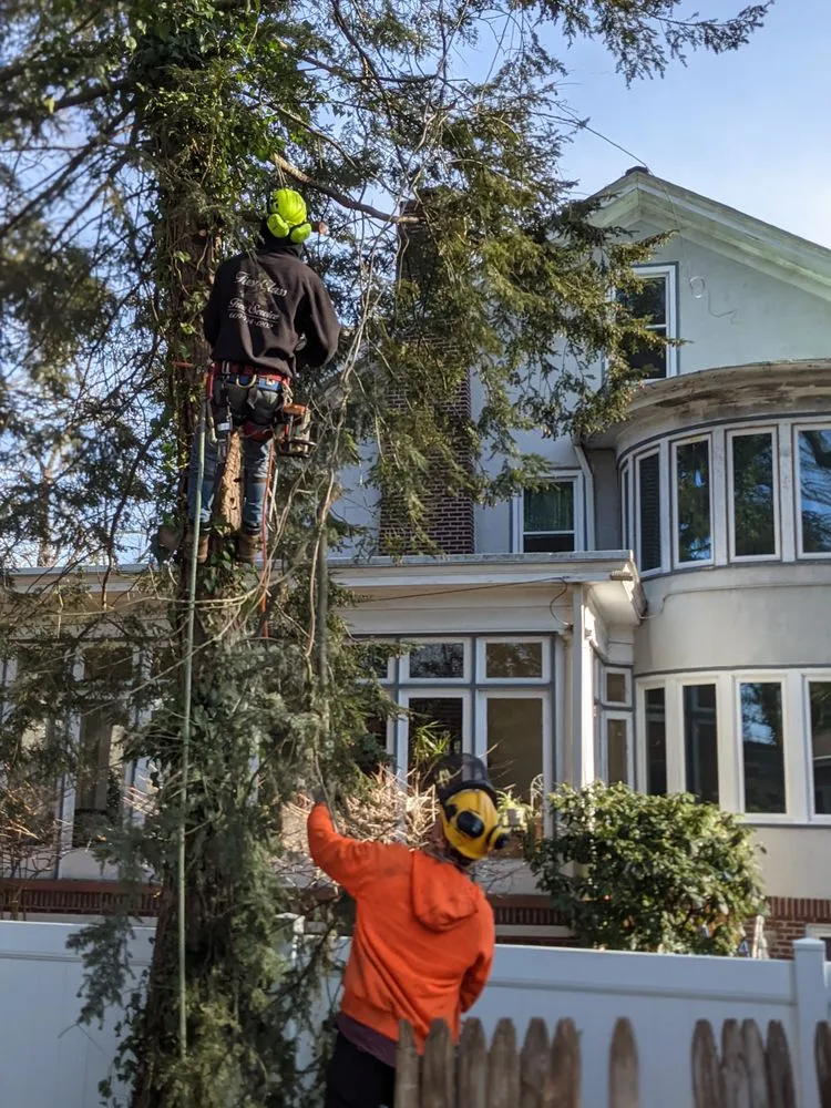 Expert residential landscaping in Pennsauken, NJ - Deputy Tree & Property Services