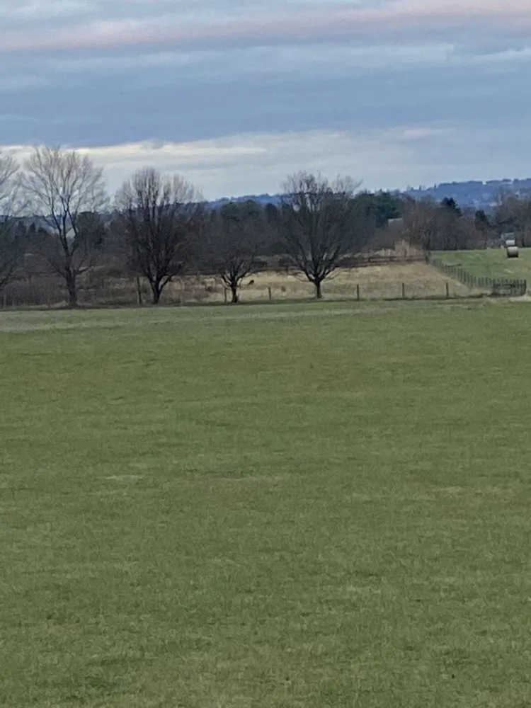 Reliable residential landscaping experts serving Thurmont, MD - Der Home and Lawn Care