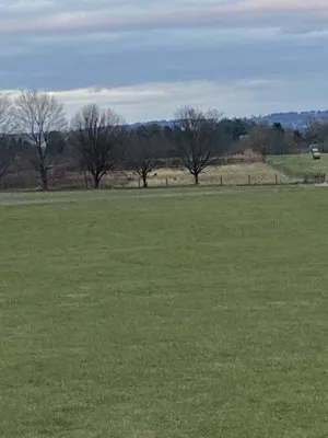 Der Home and Lawn Care