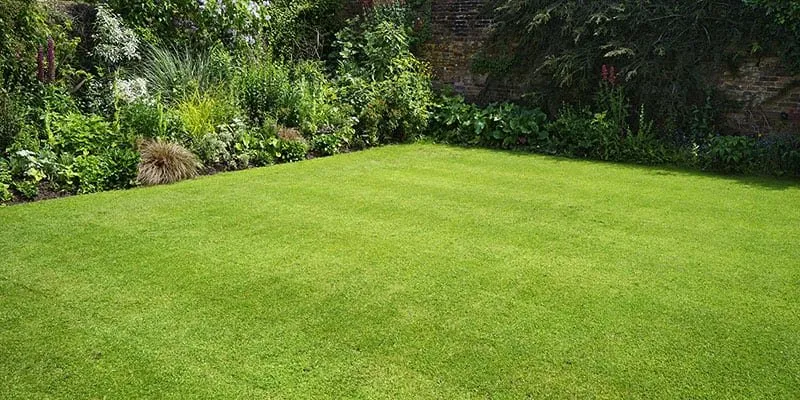 Expert yard cleanup service for outdoor upgrades across Spring Valley, MN - DeRaads Lawncare Services