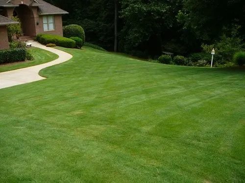 Reliable lawn care service in Spring Valley, MN by DeRaads Lawncare Services