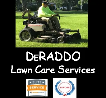 Affordable outdoor landscaping in Geneva, NY by DeRaddo Lawn Care Services