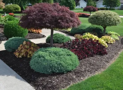 Affordable yard cleanup service in Louisville, KY by Derby City Lawn and Landscape