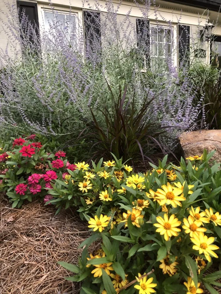 Expert garden landscaping experts serving Salisbury, NC - Derby Downs Grass and Garden