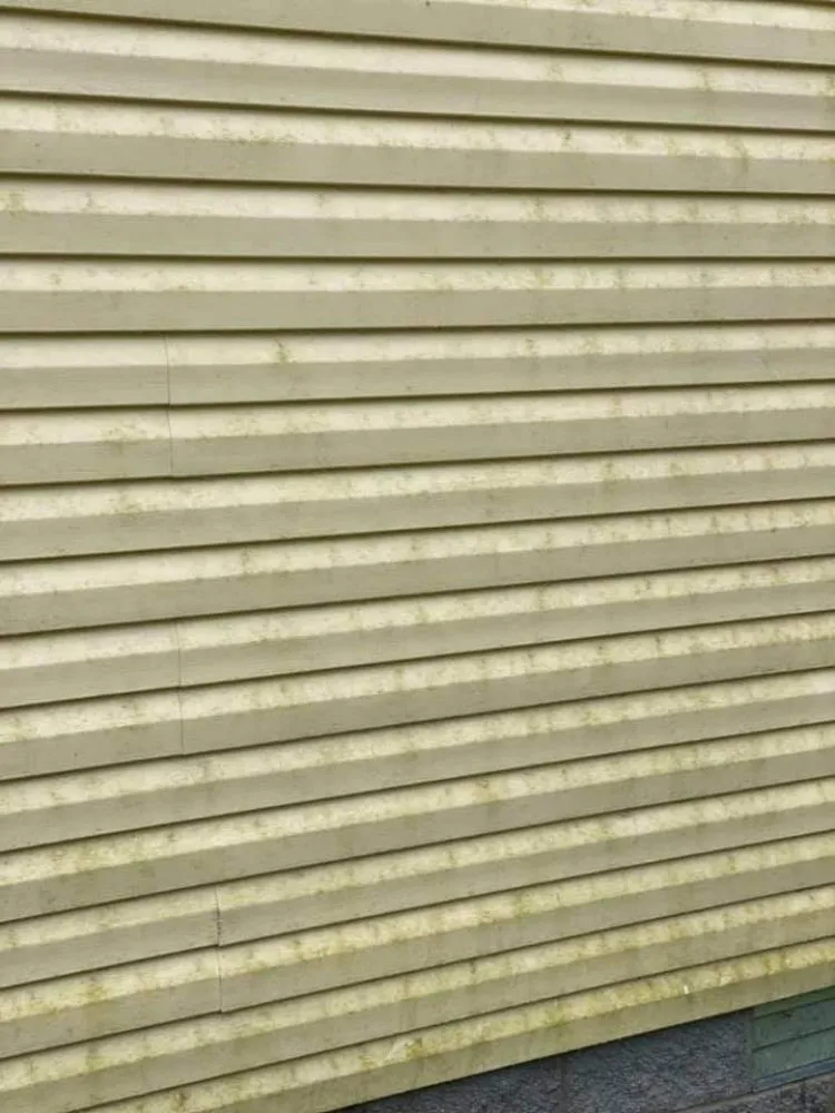 Custom lawn care service in Columbia, TN - Derek Jones Handyman Services