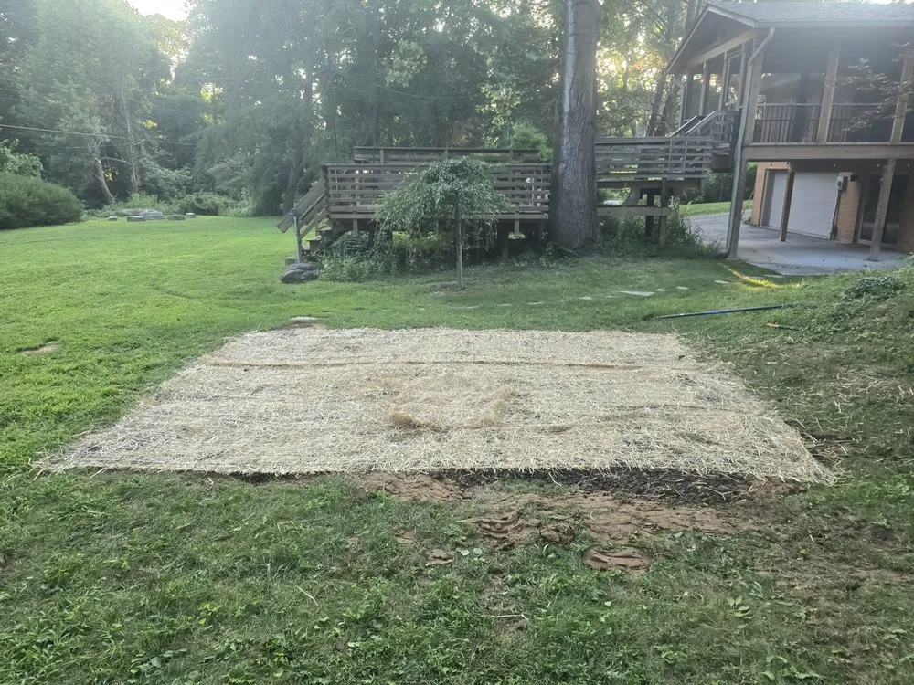 Top-rated yard maintenance in Bloomington, IN - Derek The Pool Guy & Landscaping