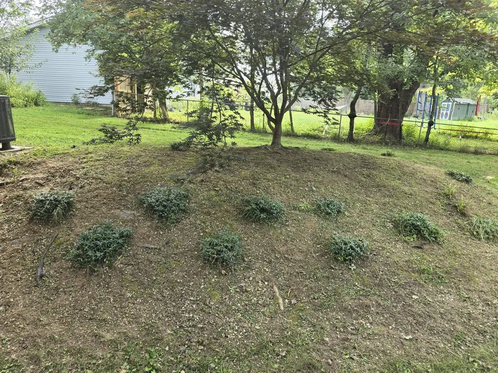 Reliable garden landscaping for year-round maintenance across Bloomington, IN - Derek The Pool Guy & Landscaping