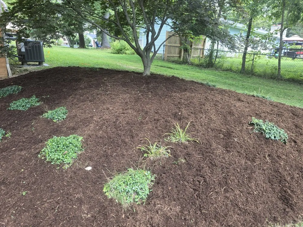 Reliable yard cleanup service experts serving Bloomington, IN - Derek The Pool Guy & Landscaping