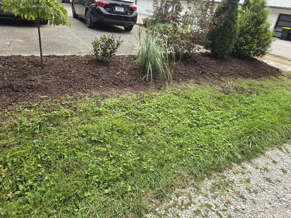 Professional yard maintenance in Bloomington, IN - Derek The Pool Guy & Landscaping