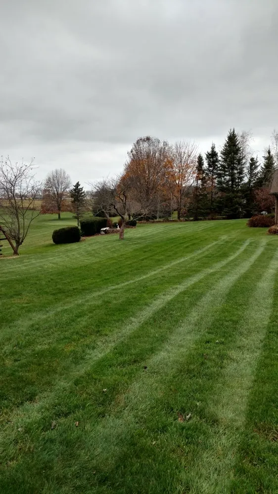 Custom yard cleanup service in Butler, PA - Derek's Grass Cutting Service