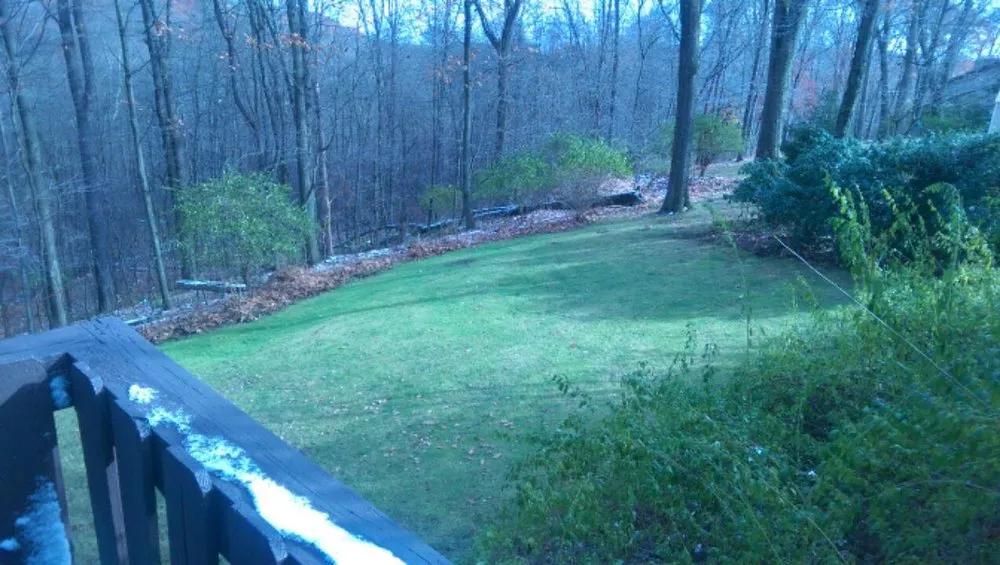 Trusted yard maintenance experts serving Butler, PA - Derek's Grass Cutting Service