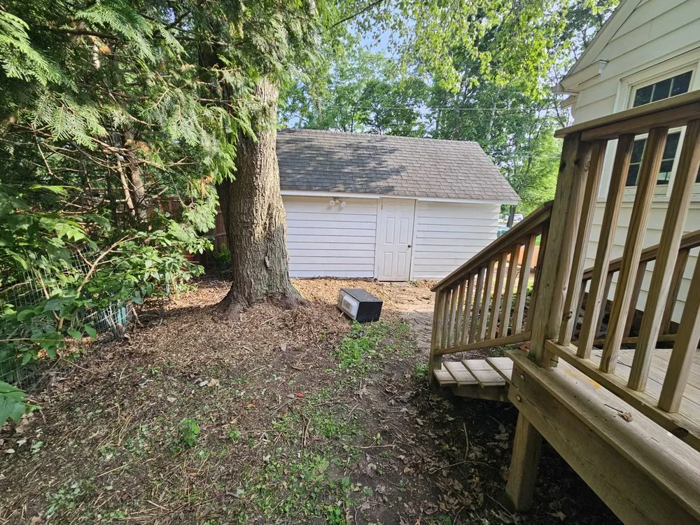 Local yard cleanup service experts serving Argyle, WI - Derek's Landscaping and Handyman Services