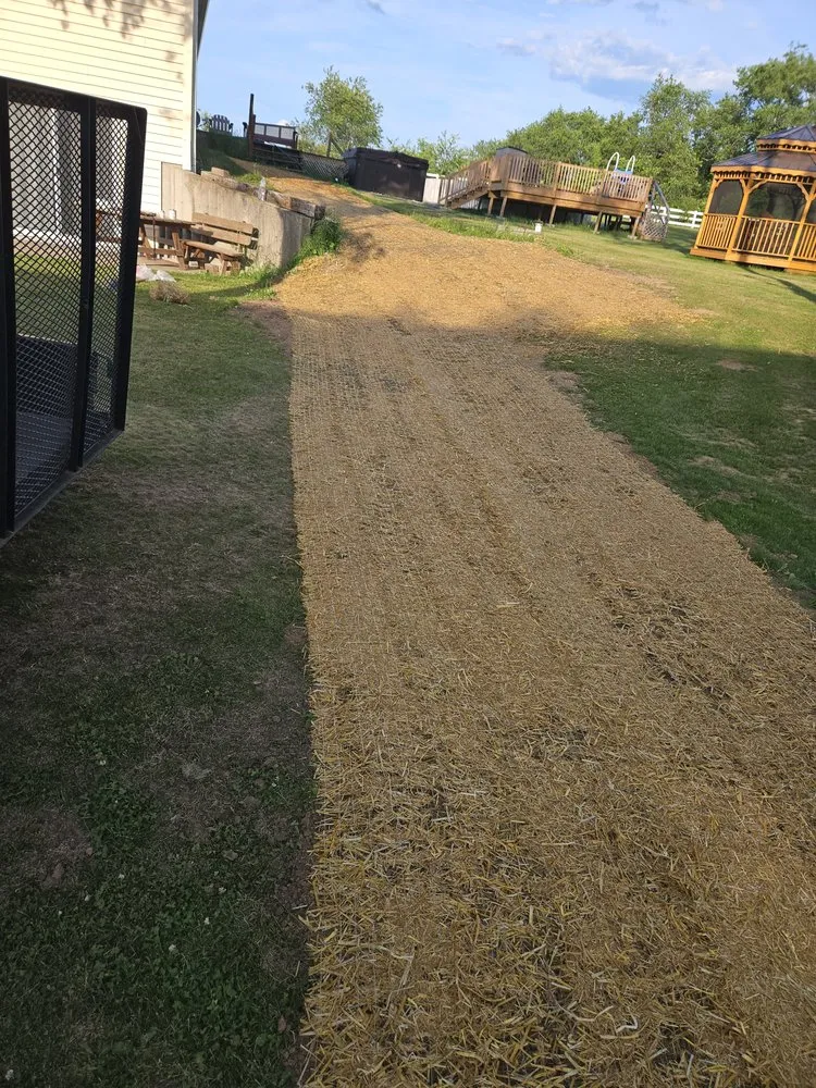 Expert lawn mowing service experts serving Argyle, WI - Derek's Landscaping and Handyman Services