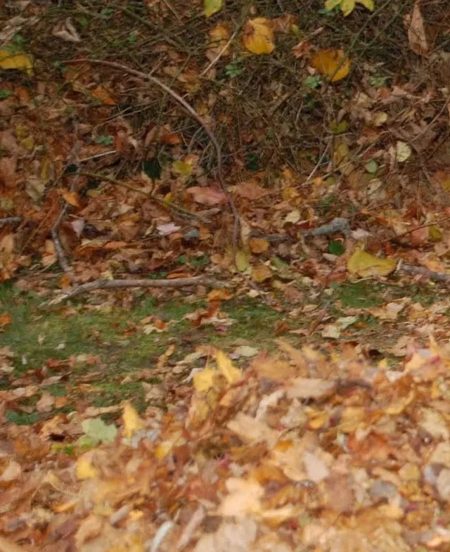 Local landscaping services in Pembroke, MA - Derek's Landscaping