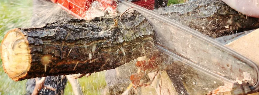 Custom lawn care service in Stillwater, OK by Derek's Lawn And Tree Service