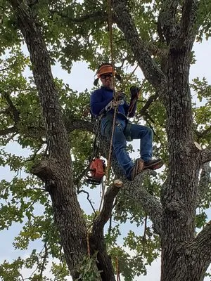 Derek's Lawn And Tree Service
