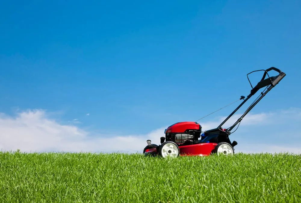 Professional landscape installation for residential properties across San Antonio, TX - Derek’s Lawn Mowing Solutions