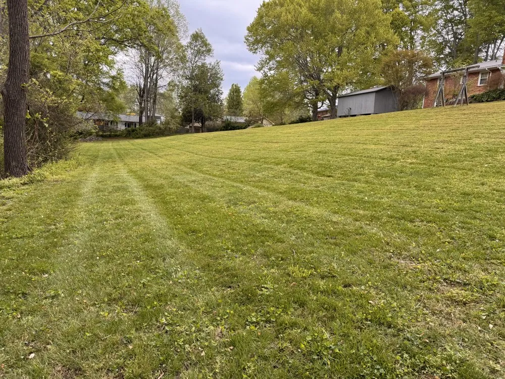 Top-rated lawn mowing service for beautiful yards across Tyro, NC - Derek’s Lawncare services