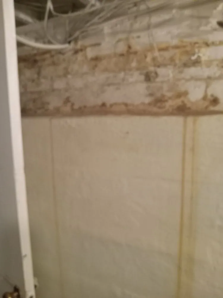 Affordable landscape installation experts serving Greensboro, NC - Dereks Services