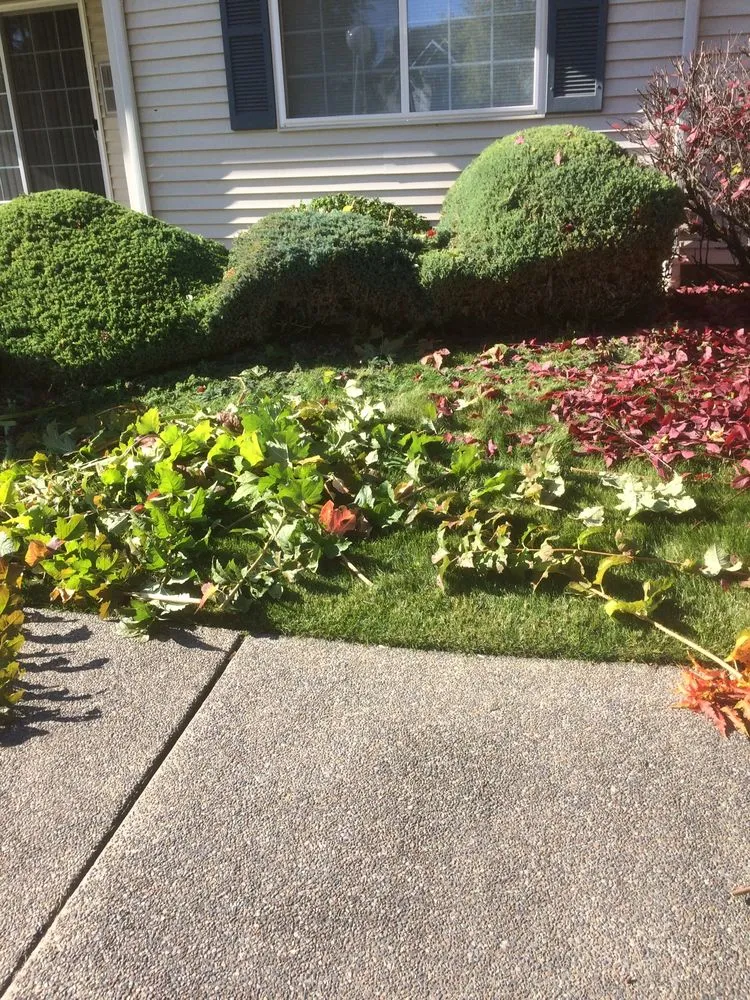 Custom landscape design experts serving Hayden, ID - Derik Allen’s Lawn & Tree Care