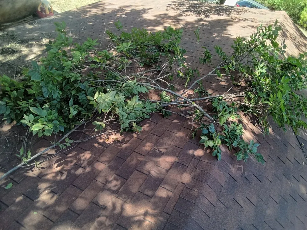 Custom yard cleanup service experts serving Marlow, OK - Derk's Tree Lawn and Garden's