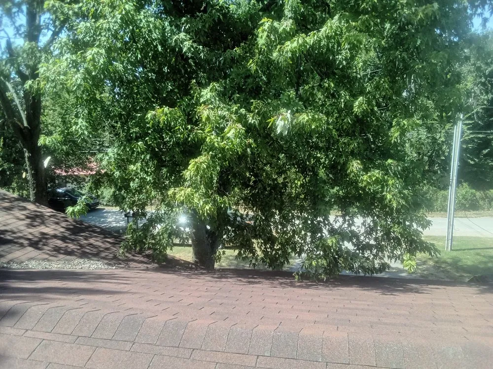 Top-rated landscaping services experts serving Marlow, OK - Derk's Tree Lawn and Garden's