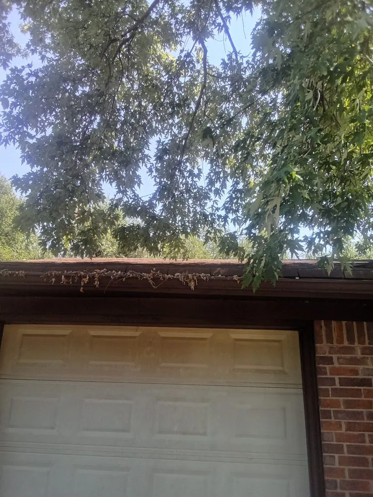 Top-rated garden landscaping in Marlow, OK - Derk's Tree Lawn and Garden's