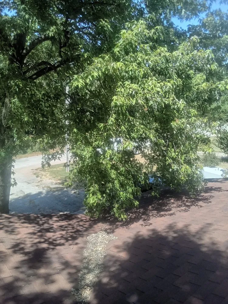 Top-rated garden landscaping for beautiful yards in Marlow, OK by Derk's Tree Lawn and Garden's