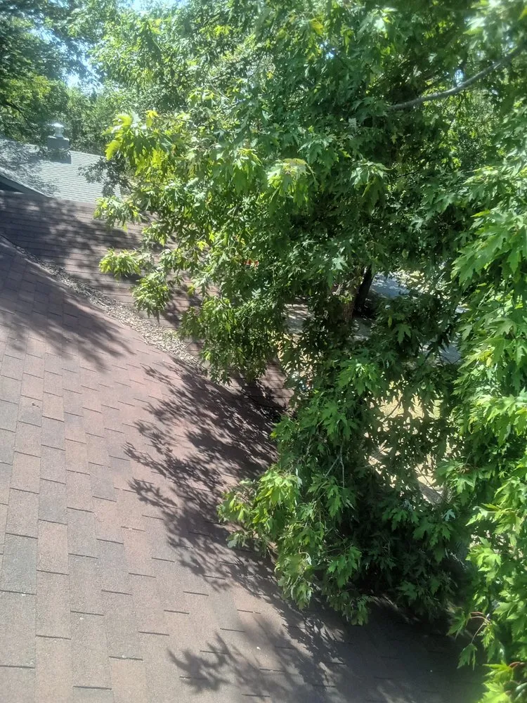 Expert yard maintenance experts serving Marlow, OK - Derk's Tree Lawn and Garden's