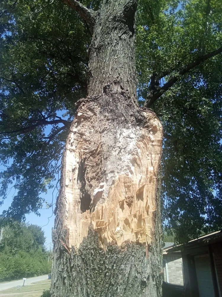 Professional yard cleanup service for outdoor upgrades in Marlow, OK by Derk's Tree Lawn and Garden's