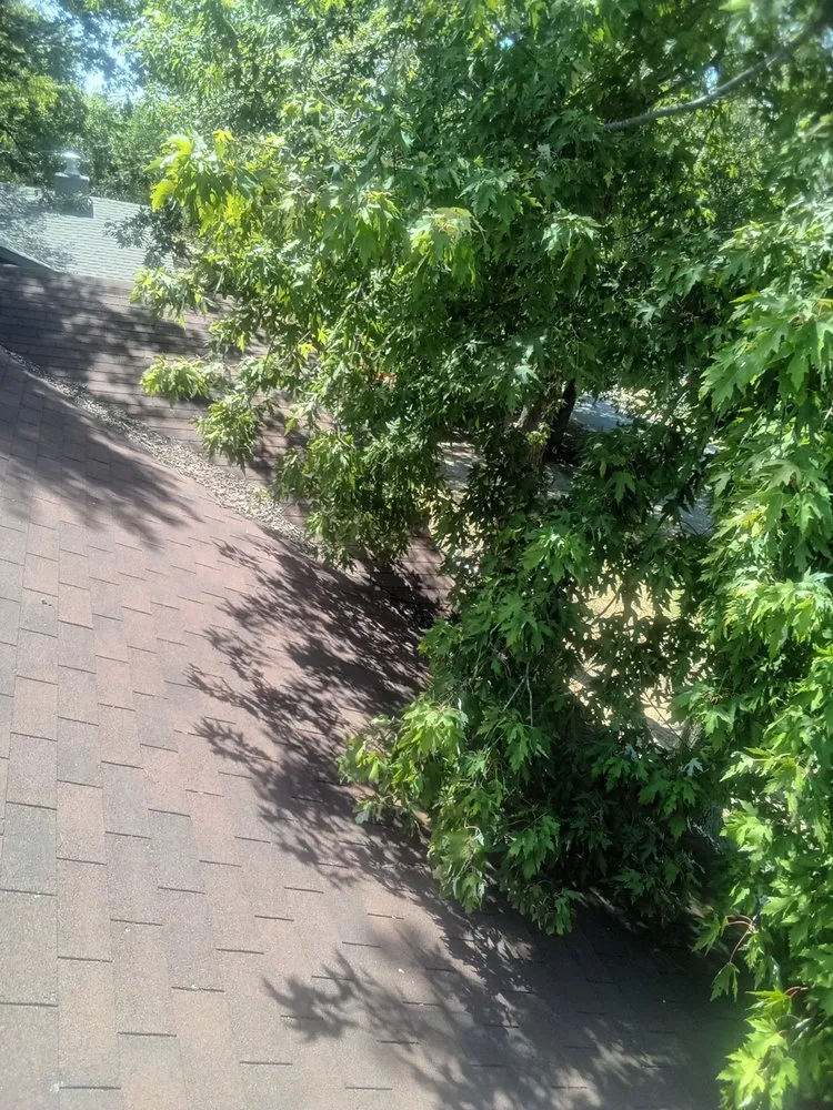 Custom garden landscaping near you in Marlow, OK by Derk's Tree Lawn and Garden's