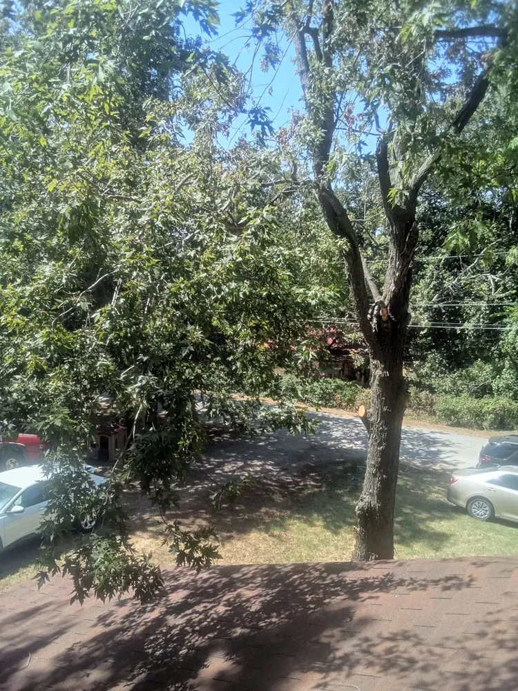 Custom lawn mowing service in Marlow, OK - Derk's Tree Lawn and Garden's