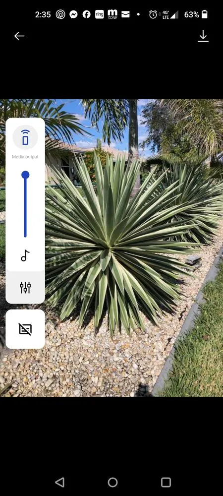 Custom landscaping services in Arcadia, FL by Deroche Site Solutions