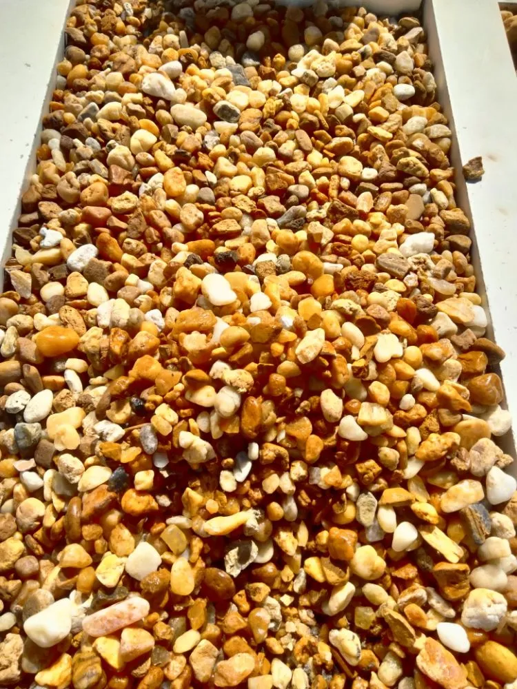 Expert garden landscaping in Arcadia, FL - Deroche Site Solutions