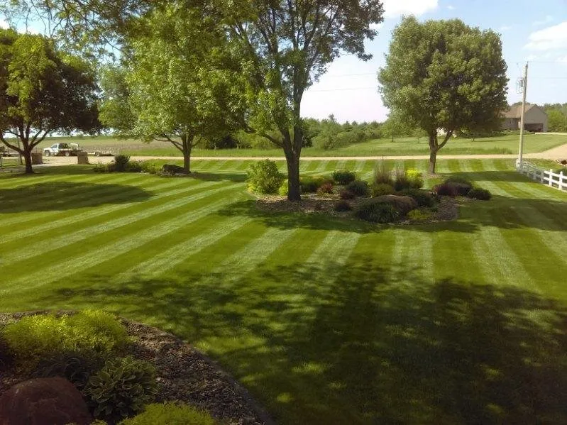 Professional yard cleanup service for outdoor upgrades in Kansas City, MO by DeRocher's Lawn Salon
