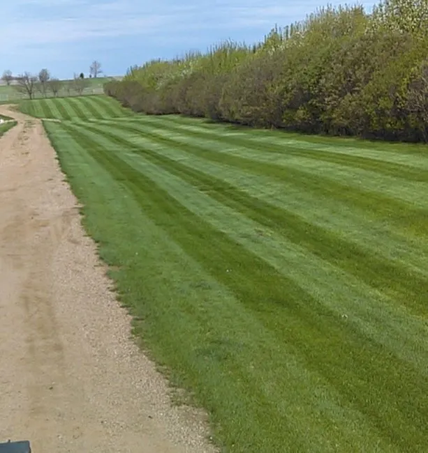 Local yard cleanup service in Kansas City, MO by DeRocher's Lawn Salon