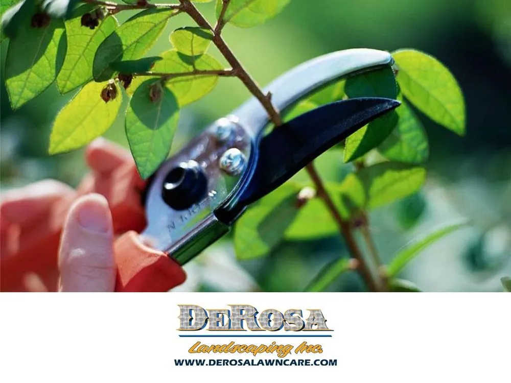 Reliable landscaping services near you in Berkley, MA by Derosa Landscaping