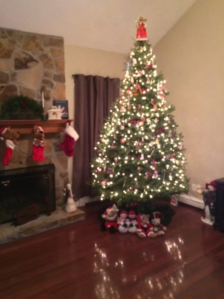 Affordable garden landscaping in Berkley, MA by Derosa Landscaping